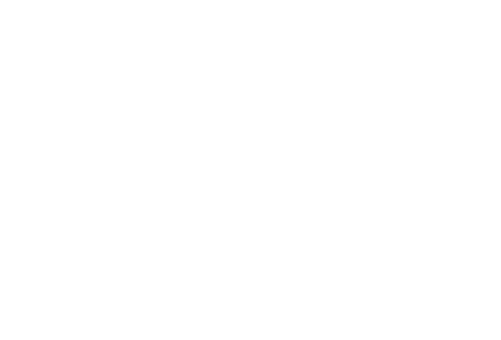 freeCodeCamp Profile
